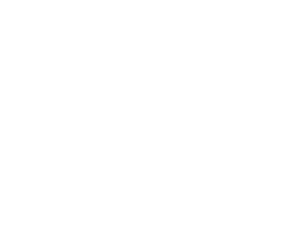 SecureInvest